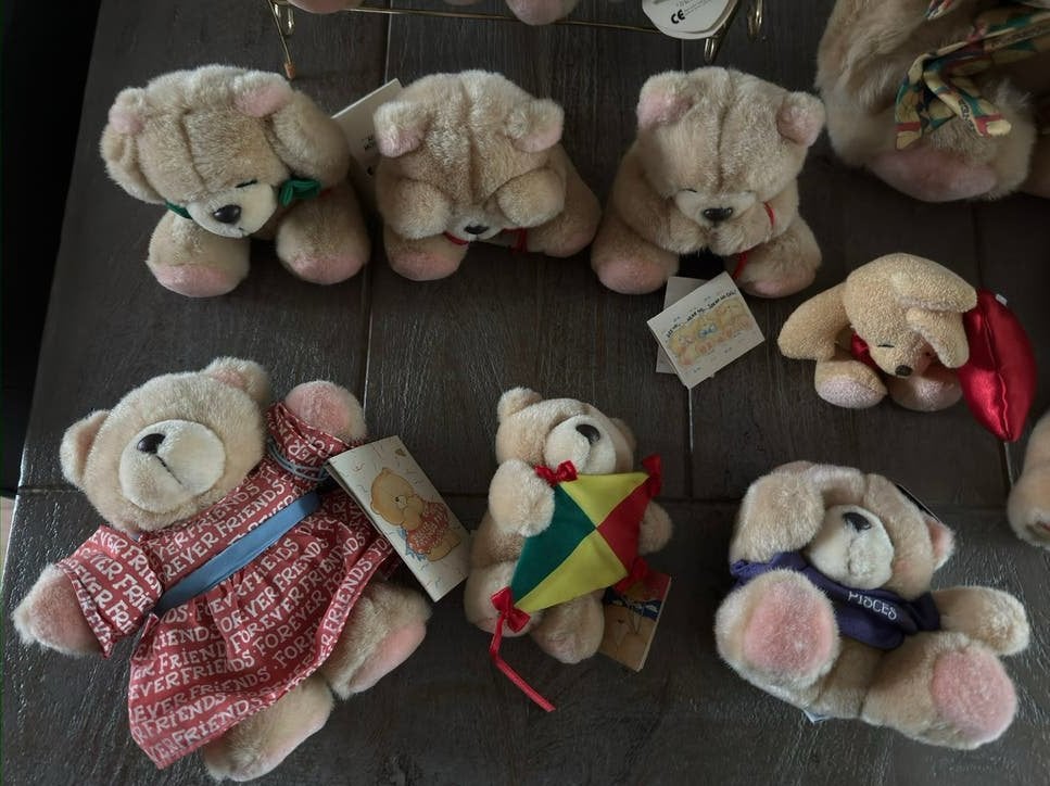 Forever Friends collectie met kaartjes, Ophalen of Verzenden, Zo goed als nieuw, Stoffen beer, Forever Friends