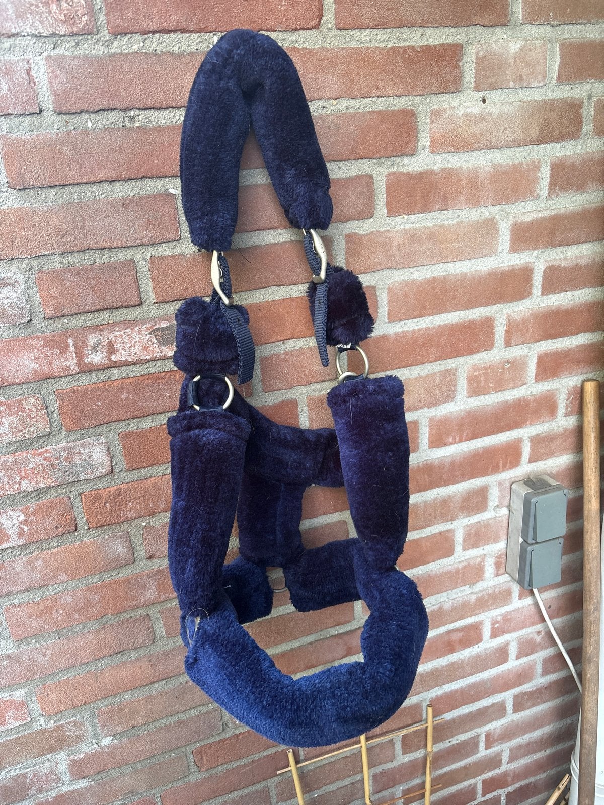Super leuke bonte halster, Dieren en Toebehoren, Paarden en Pony's | Overige Paardenspullen, Ophalen, Gebruikt