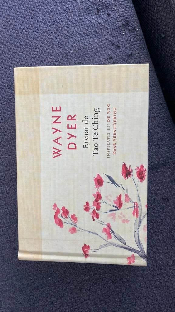Wayne Dyer - Ervaar de Tao Te Ching, Achtergrond en Informatie, Spiritualiteit algemeen, Wayne W. Dyer, Ophalen of Verzenden