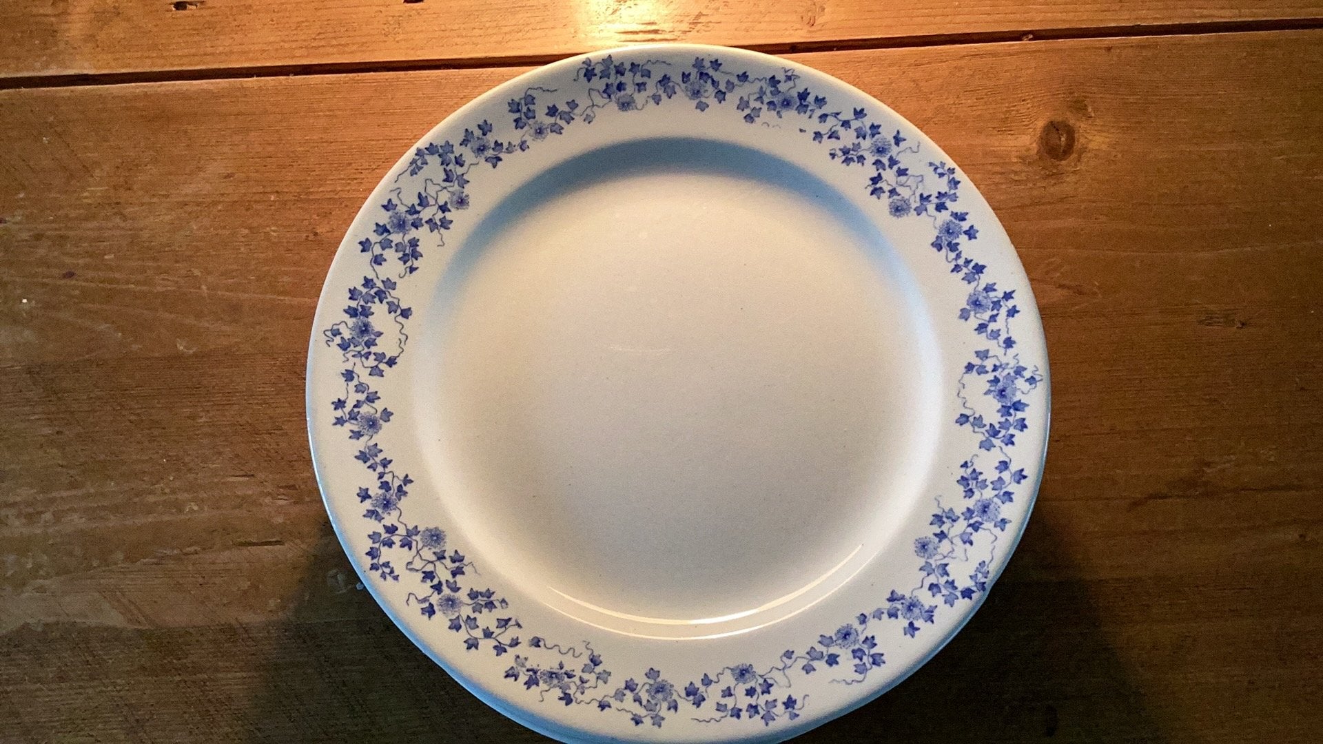 PETRUS REGOUT 9 diner borden, Ophalen of Verzenden