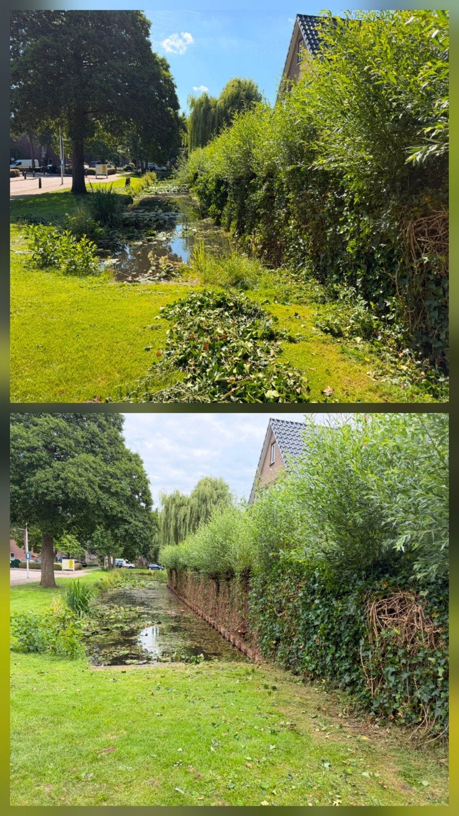 Tuinman/hovenier/tuinhulp gezocht/aangeboden, Diensten en Vakmensen, Garantie, Tuin- of Vijveraanleg