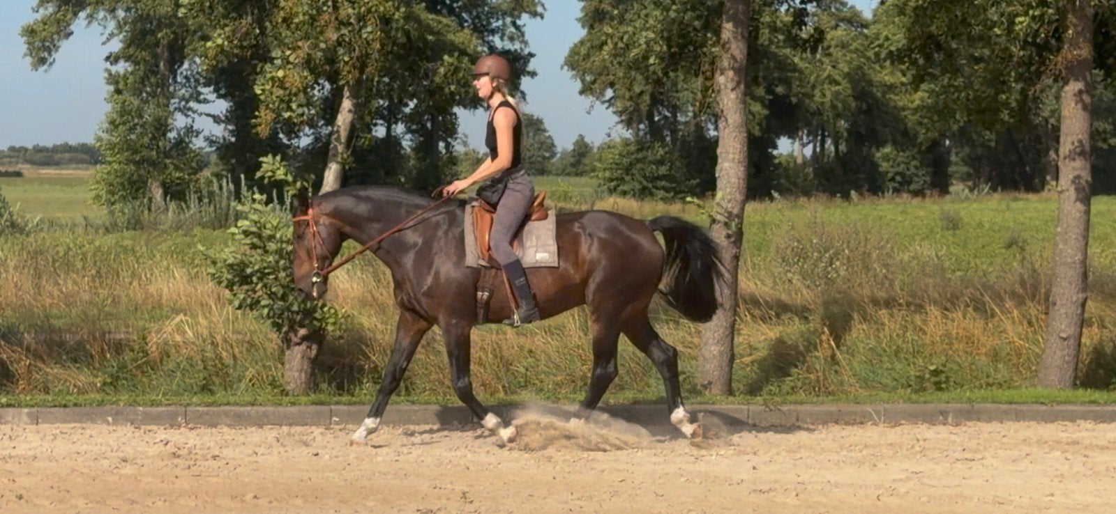 Instructie voor ruiter en paard, Diensten en Vakmensen, Dieren | Paarden | Verzorging, Oppas en Les