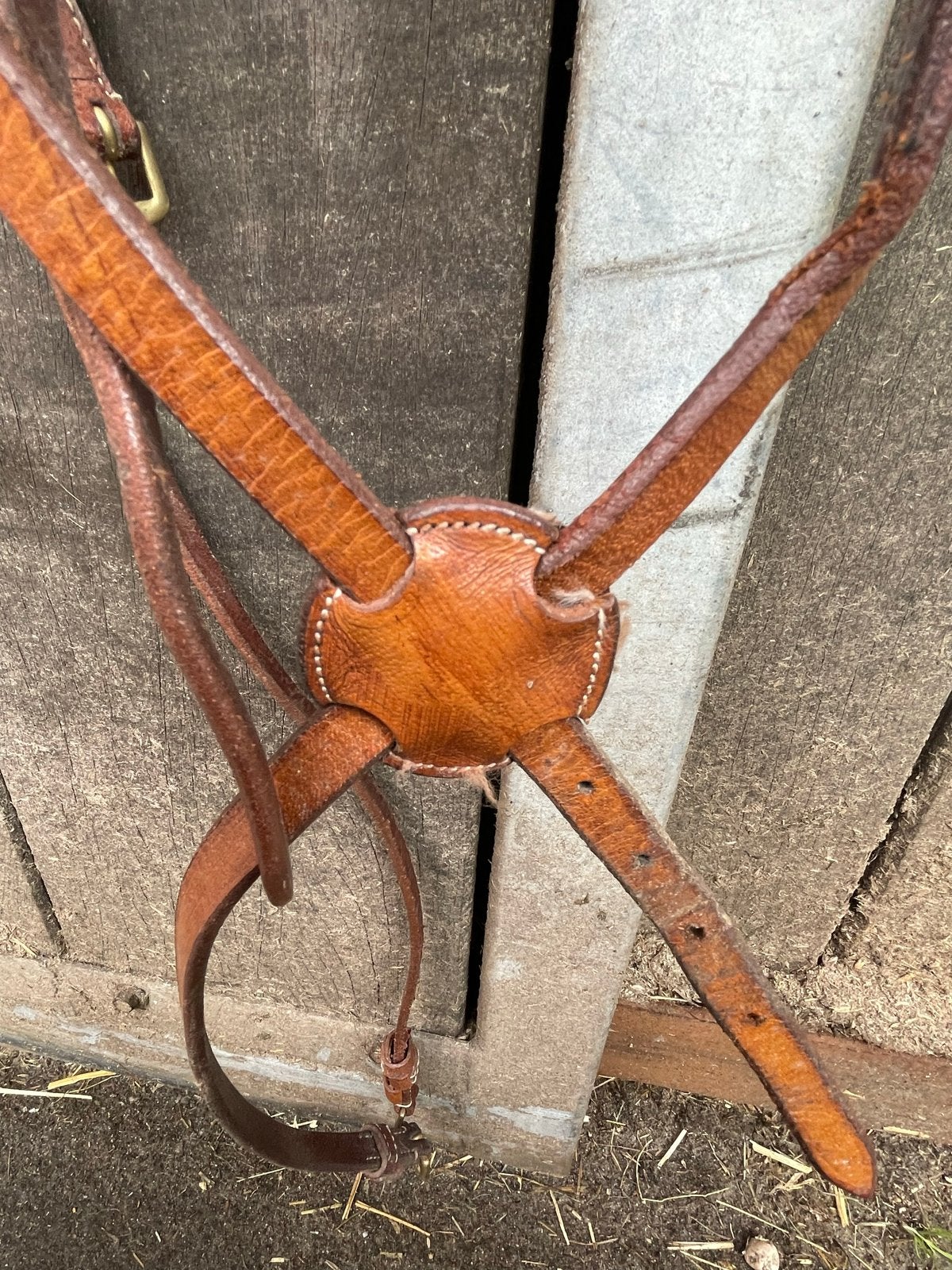 Hoofdstel met martingaal, Springen, Bruin, Ophalen of Verzenden, Full