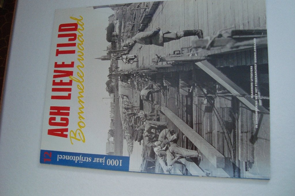 Bommelerwaard een boek met veel foto's van de streek, Ophalen of Verzenden, 20e eeuw of later, Gelezen