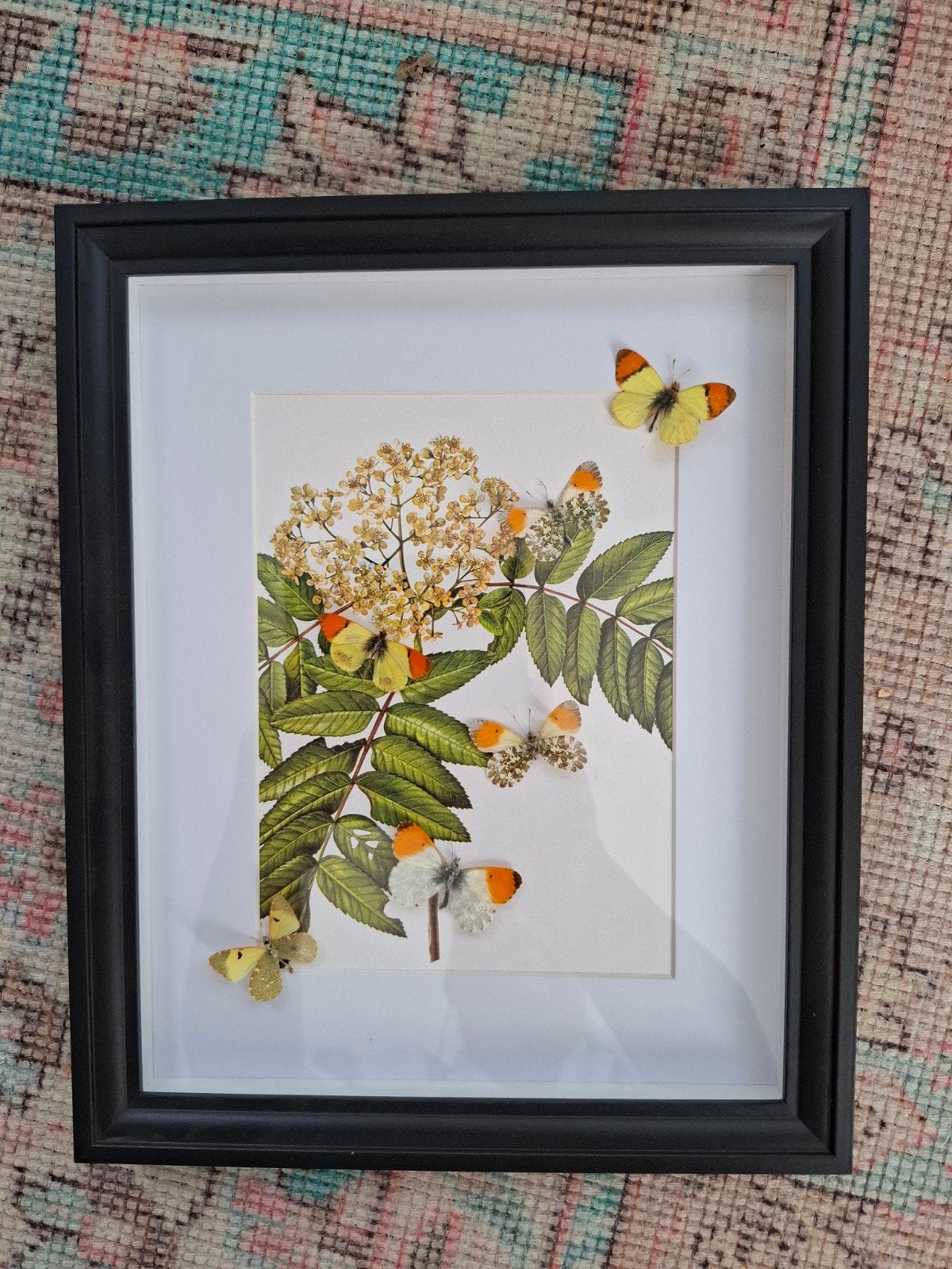 Uniek 3D Kunstwerk met echte vlinders, 23 cm, Handgemaakt, Nieuw, Ophalen of Verzenden