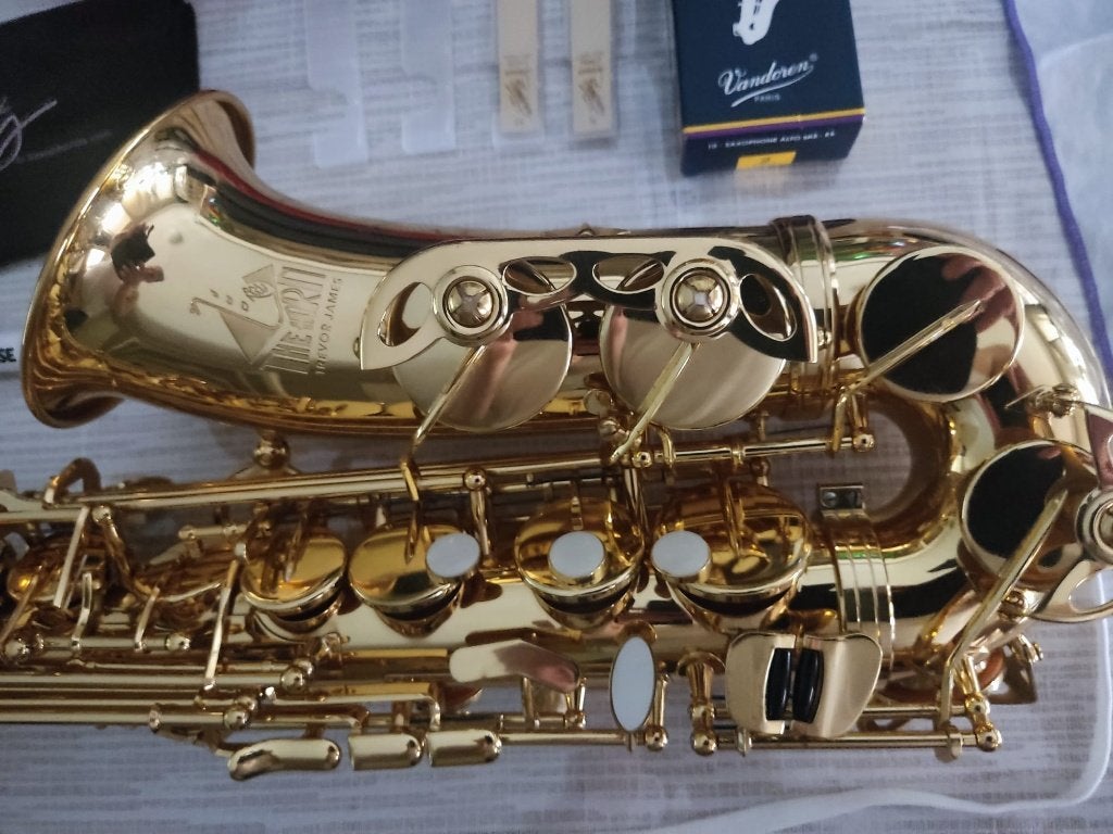 Trevor James The Horn Alto Saxophone, Ophalen, Zo goed als nieuw, Alt, Met koffer