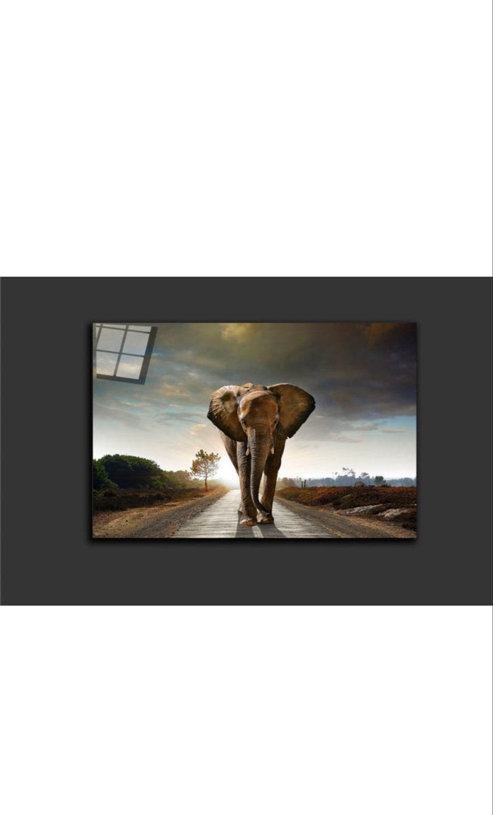 Schilderij olifant op weg - 120x80 cm, Ophalen, Zo goed als nieuw, Schilderij, 100 tot 125 cm
