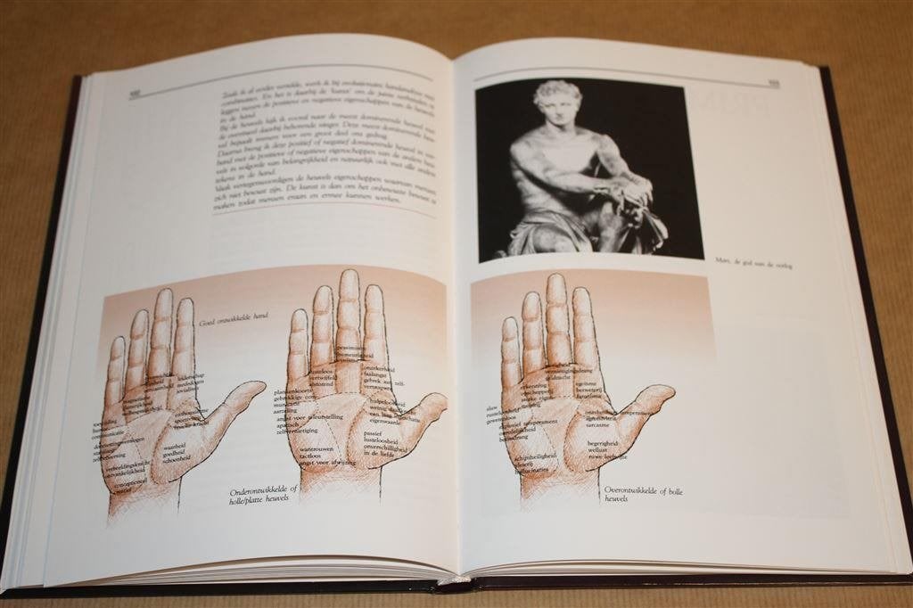 Handanalyse en zelfherkenning. Alles in de hand., Boeken, Ophalen of Verzenden, Zo goed als nieuw, Overige onderwerpen, Achtergrond en Informatie