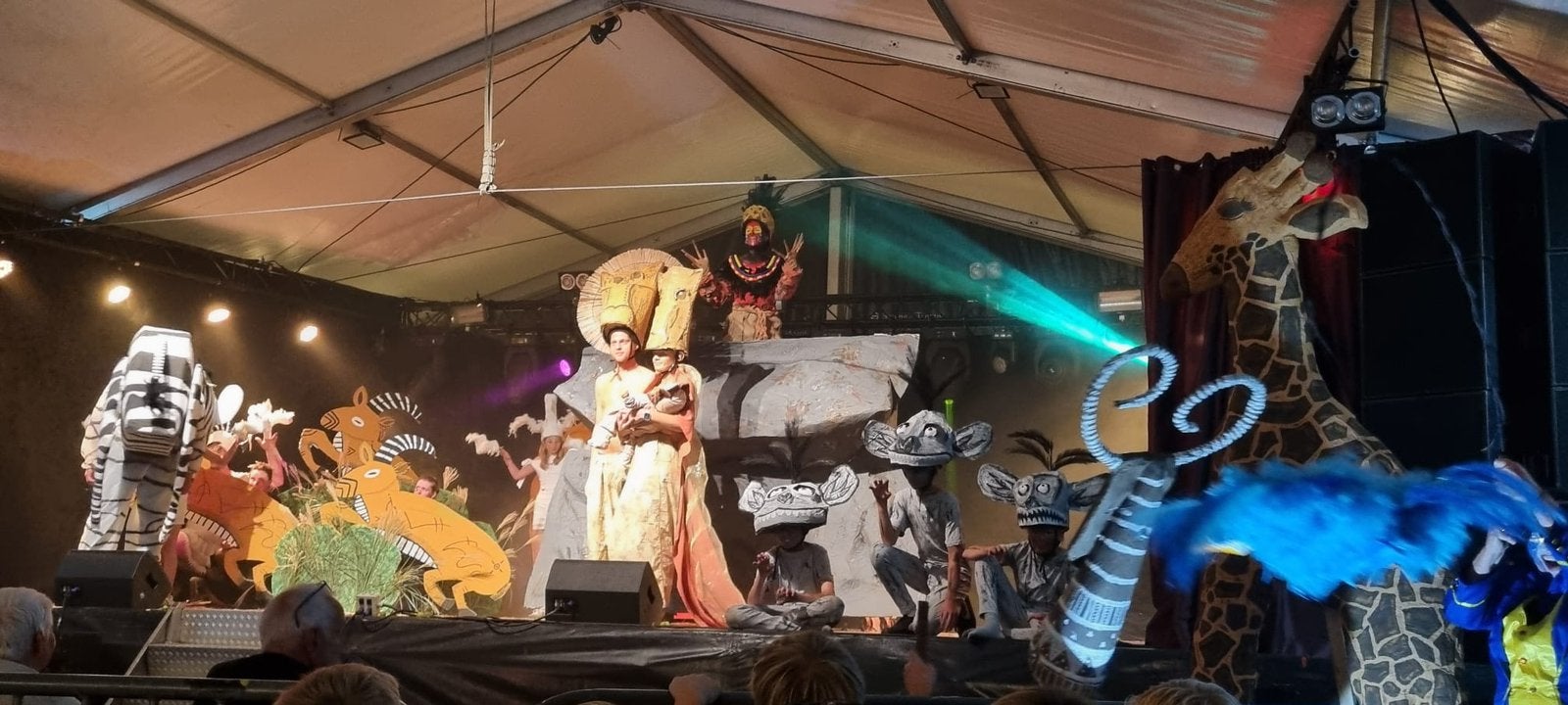 Lion King kostuum carnaval, loopgroep, playback, musical, Ophalen, Carnaval, Zo goed als nieuw, Kleding