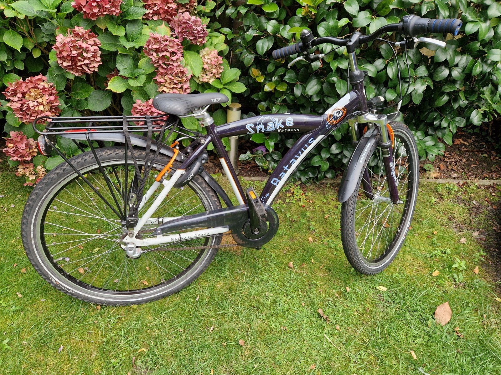 Batavus Snake 26 inch, Terugtraprem, Gebruikt, Versnellingen, Batavus