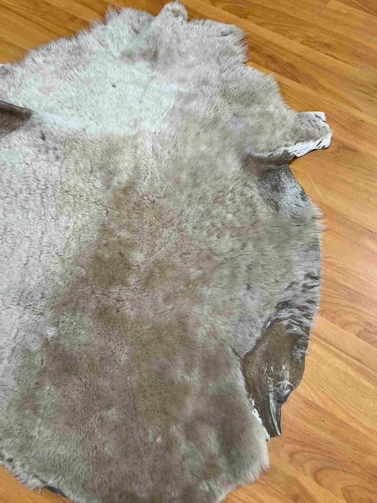 Zachte Geitenvacht 80/66 cm, Gebruikt, 50 tot 100 cm, Beige, Etten-Leur
