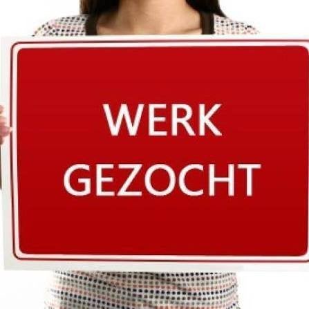 Werk gezocht schoonmaak/zorg, 33 - 40 uur, Overige vormen