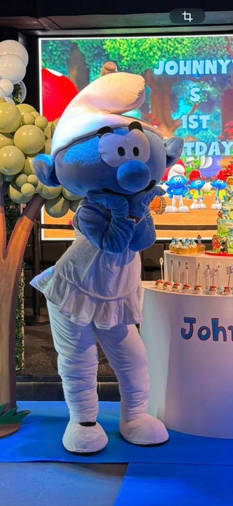 Smurfen mascotte pakken, mannelijk en vrouwelijk, Ophalen of Verzenden, Zo goed als nieuw, Verschillende Smurfen, Overige typen