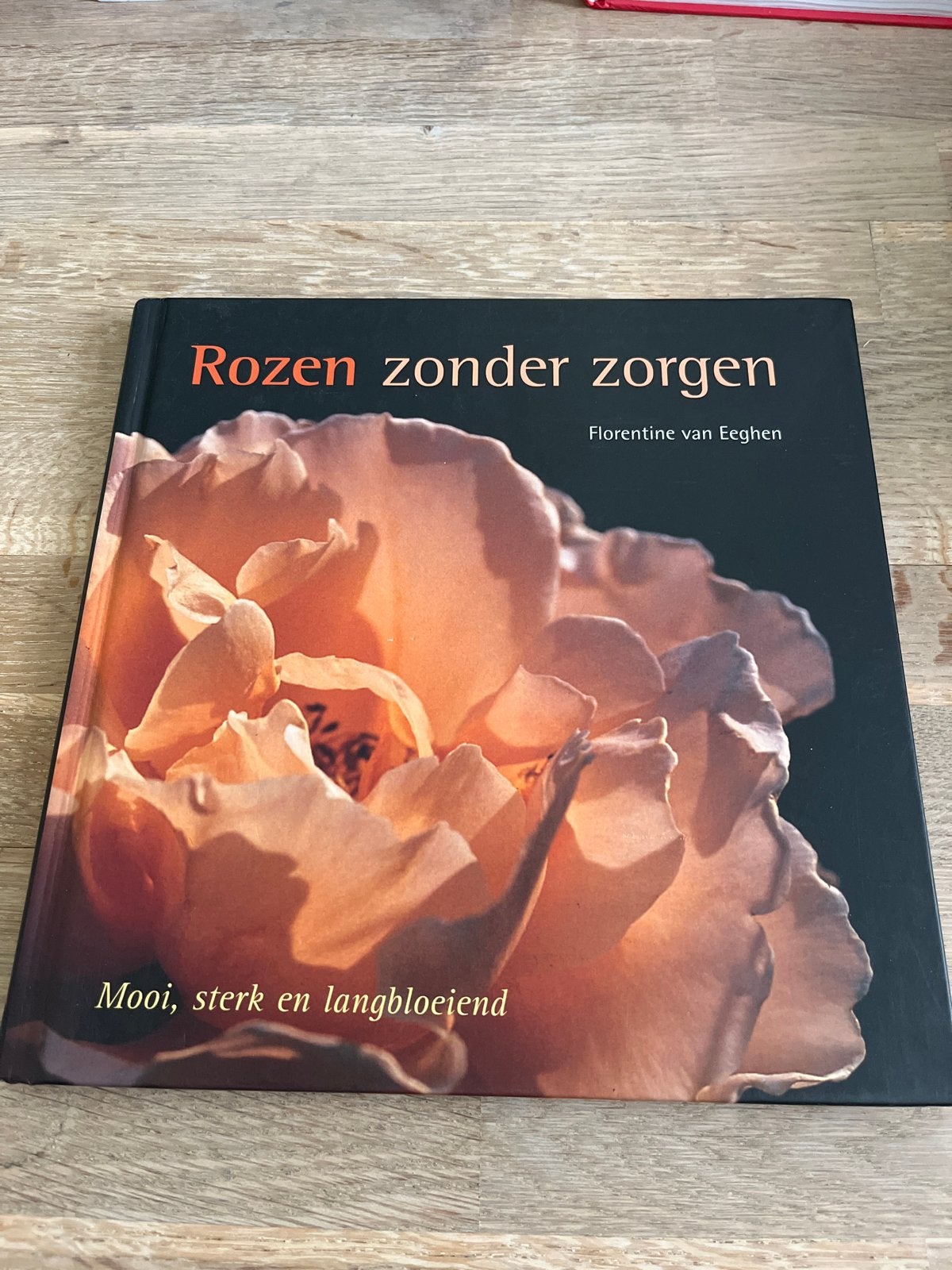 Rozen zonder zorgen - Florentine van Eeghen, Ophalen of Verzenden, Zo goed als nieuw, Tuinieren en Tuinplanten