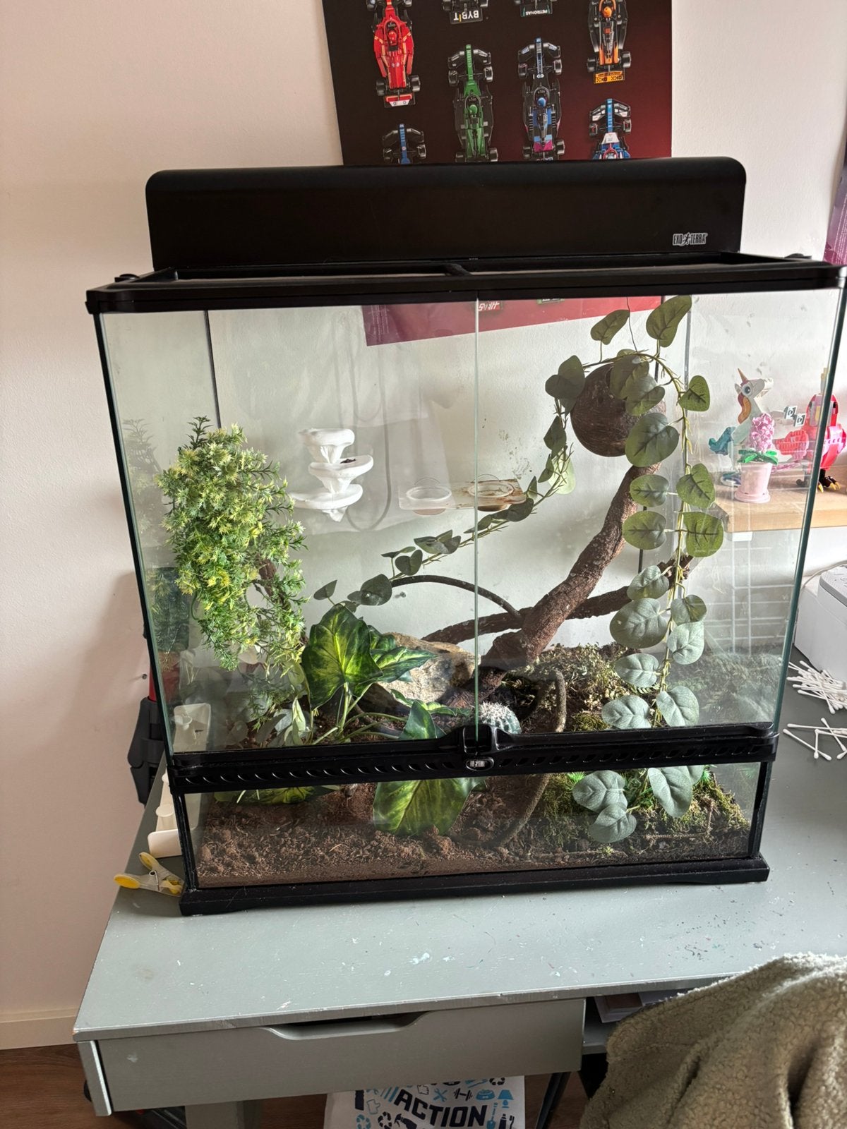 Exo terra terrarium met wimper gekko, Dieren en Toebehoren, Reptielen en Amfibieën | Toebehoren, Ophalen, Zo goed als nieuw, Terrarium of Paludarium