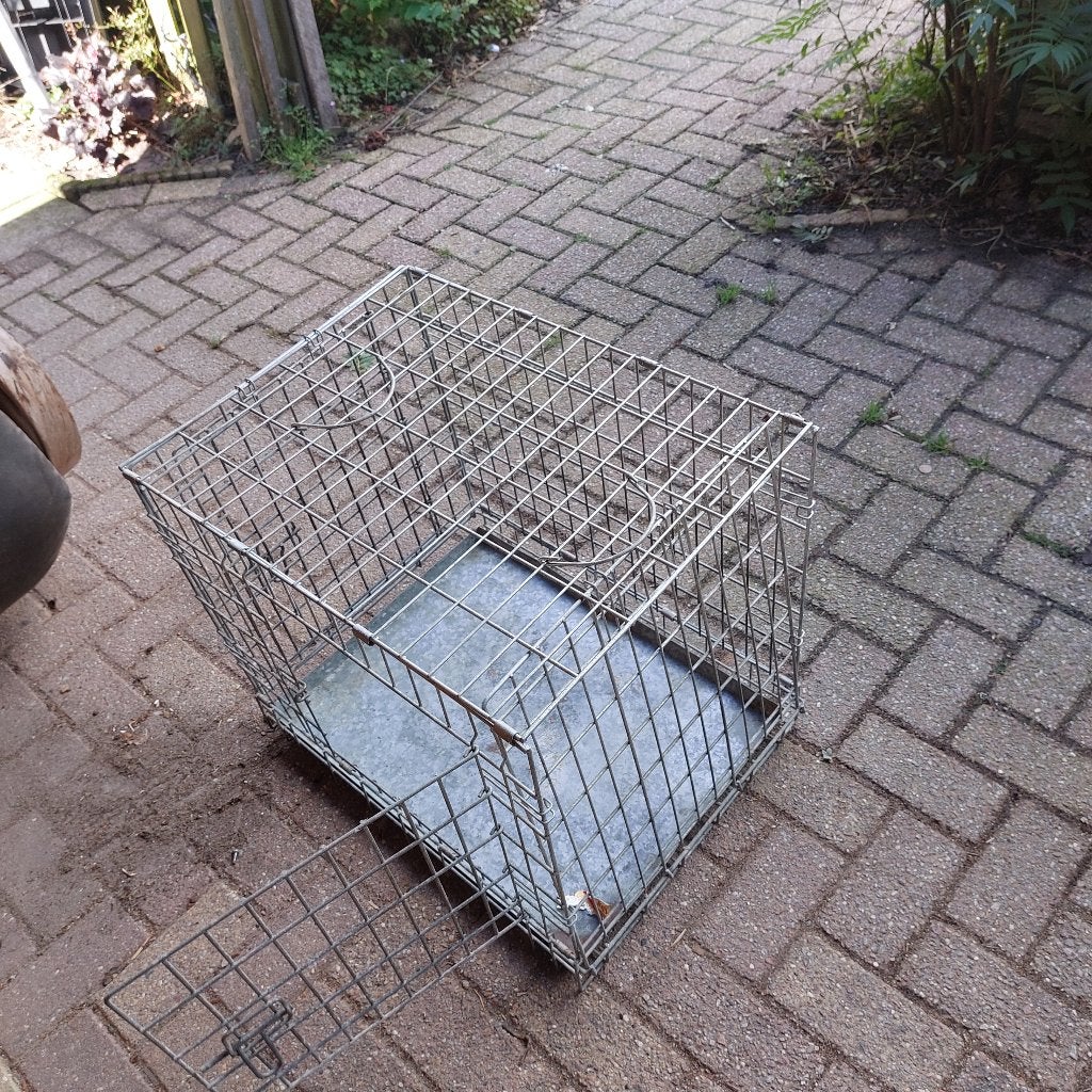 Bench, Ophalen of Verzenden, Gebruikt