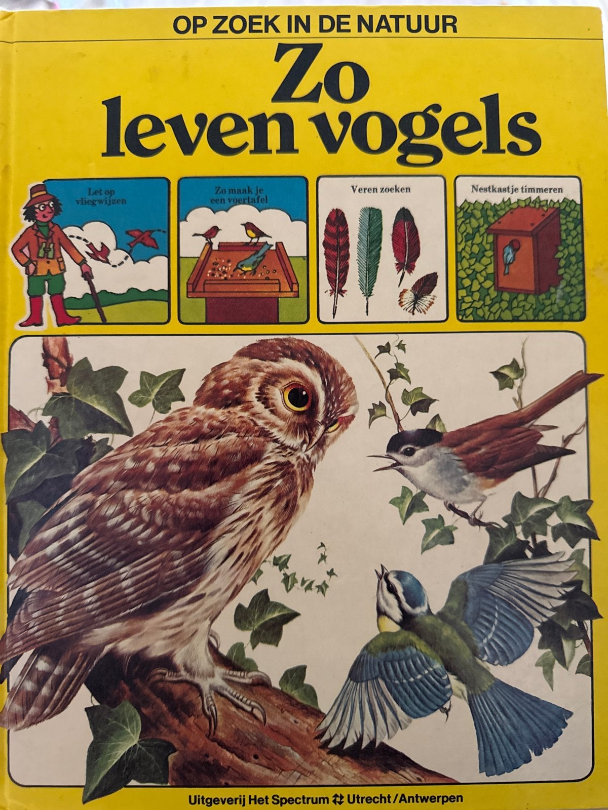 Zo leven vogels - Op zoek in de natuur, Ophalen, Gelezen, Vogels