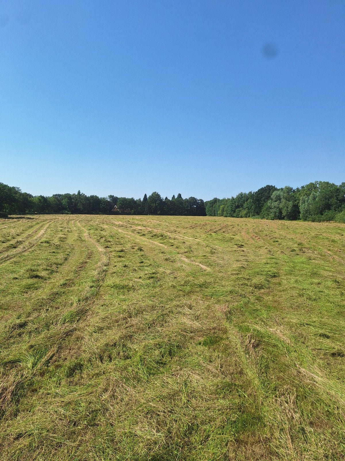 Natuurhooi, paardenhooi af land of in baal, Dieren en Toebehoren, Ophalen, Vee