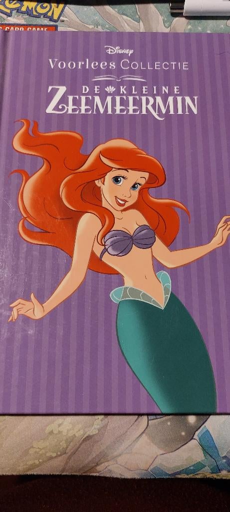 Boekje van de Disney voorleescollectie, Ophalen of Verzenden, Pocahontas of Kl. Zeemeermin, Gebruikt, Overige typen