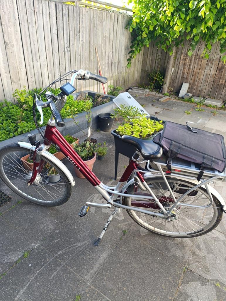 Stella elektrische fiets met fietstassen, Fietsen en Brommers, Elektrische fietsen, Overige merken, Gebruikt, Ophalen of Verzenden