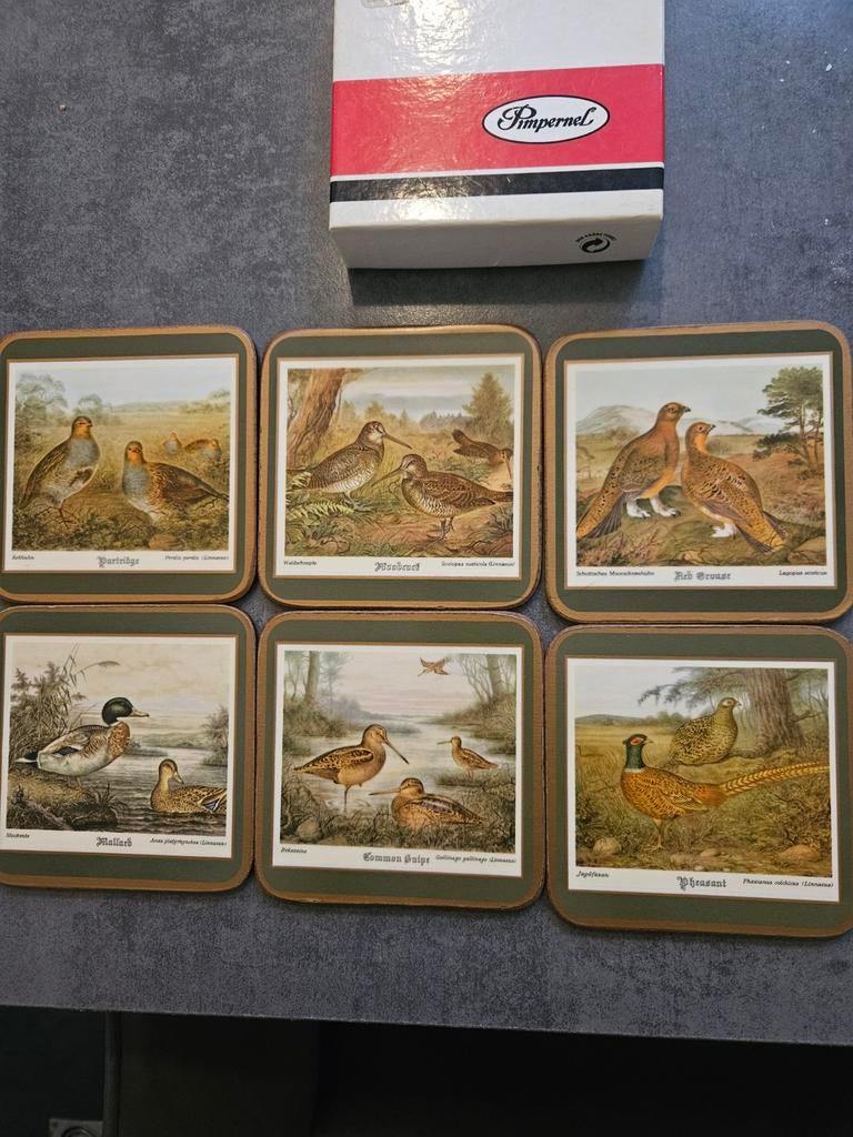 Pimpernel Onderzetters - Wildvogels (Set van 6), Meerkleurig, Ophalen of Verzenden, Natuurlijk materiaal, Klassiek