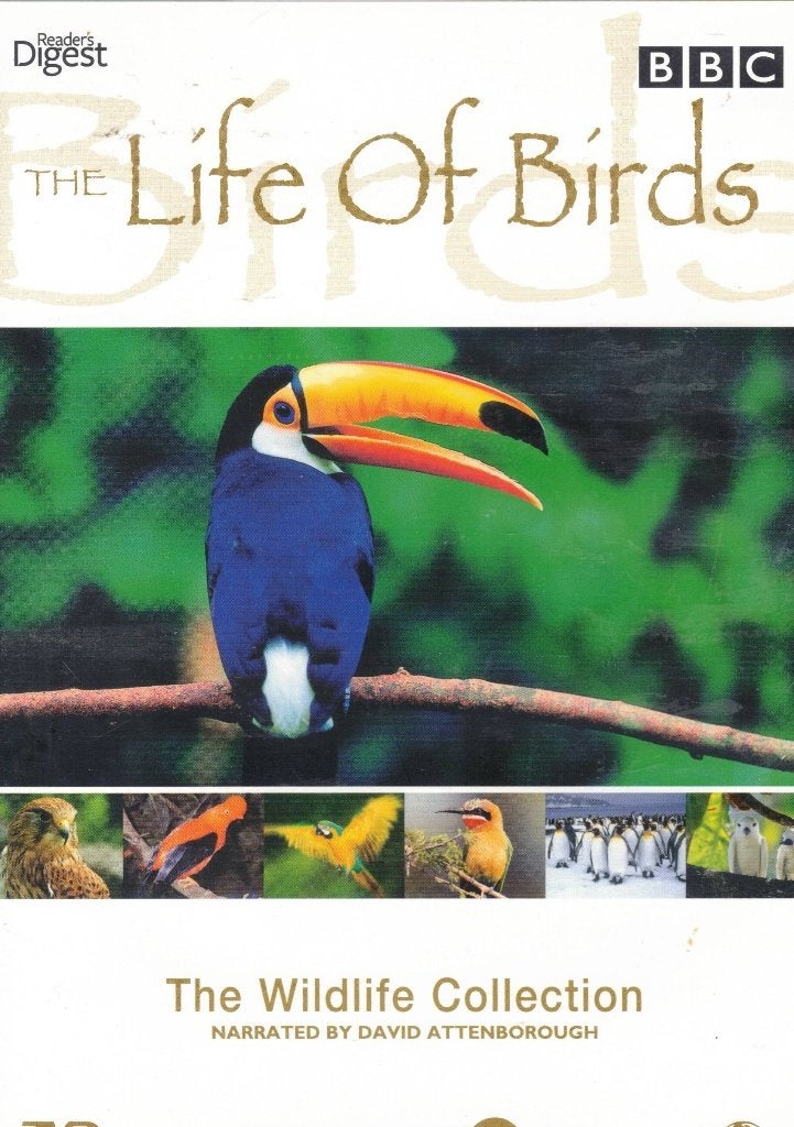 The Life Of Birds - David Attenborough ( 3 DVD ) - BBC, Engels, Alle leeftijden, Nederlands, Natuur