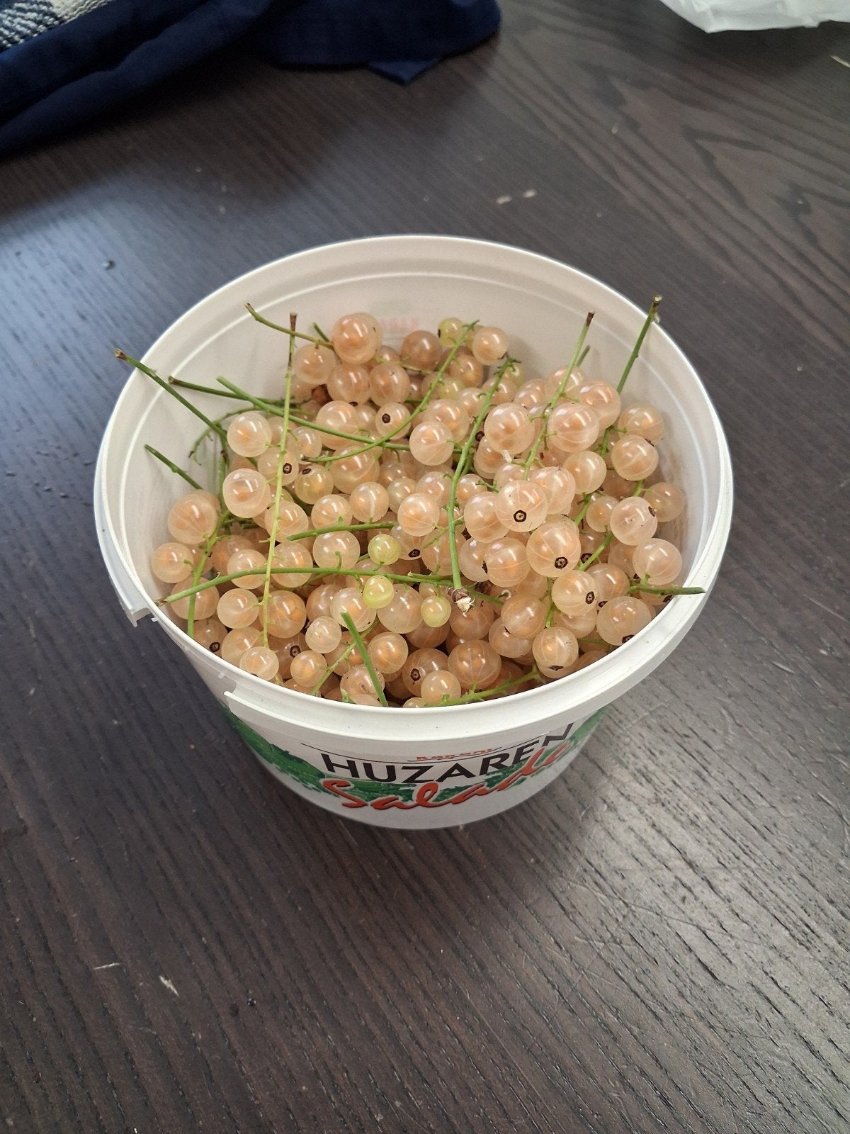 Verse witte aalbessen - Direct van de struik!, Ophalen of Verzenden