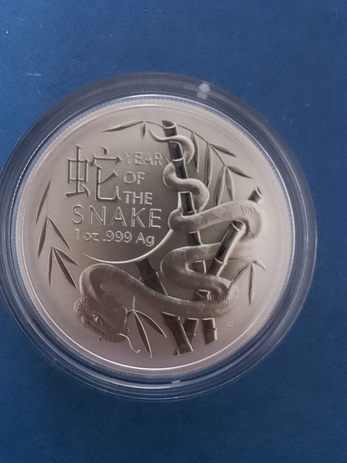 RAM Lunar year of the snake 2025 1 oz zilver, Ophalen of Verzenden, Zilver
