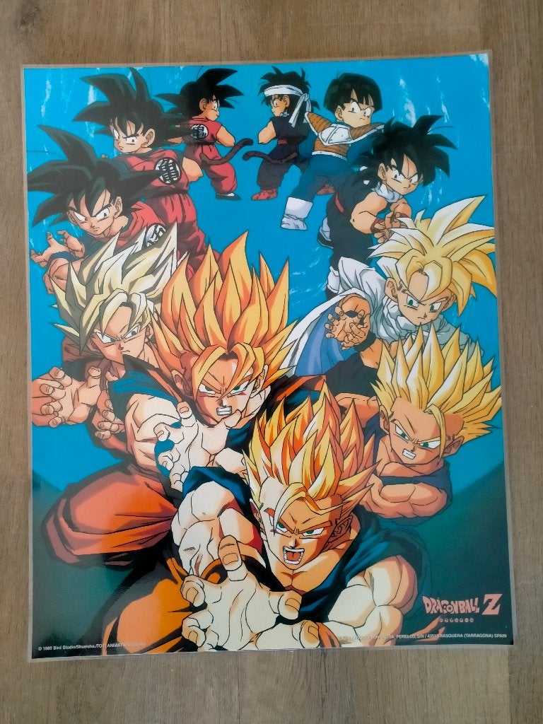 Dragonball Z DBZ Dragon Ball Z manga Anime posters film tv, Ophalen of Verzenden, Overige figuren, Zo goed als nieuw, Overige typen