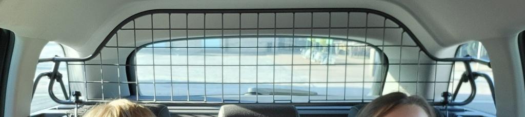 Travall hondenrek Skoda Superb Combi/station 2015-2024, Ophalen, Zo goed als nieuw