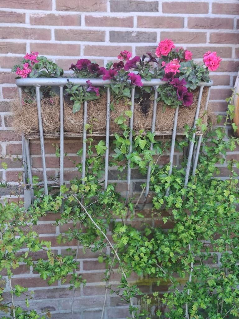 Ruif. Is prima te gebruiken voor decoratie of hooi, Ophalen of Verzenden, Rond, Hout, Minder dan 30 cm