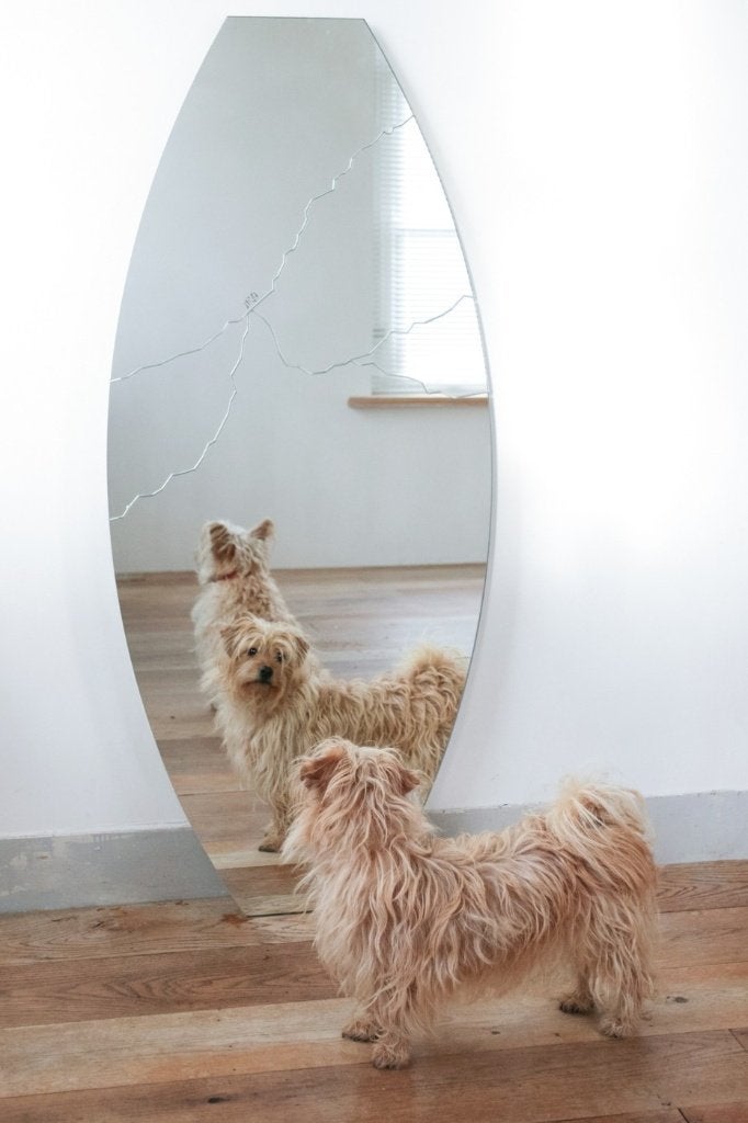 Rimadesio design spiegel Broken Italiaans, Ophalen, Gebruikt, 100 tot 150 cm, Ovaal