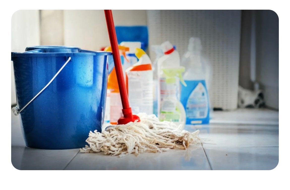 Schoonmaakster gezocht voor de donderdag ochtend, Overige uren, Overige niveaus, Overige vormen