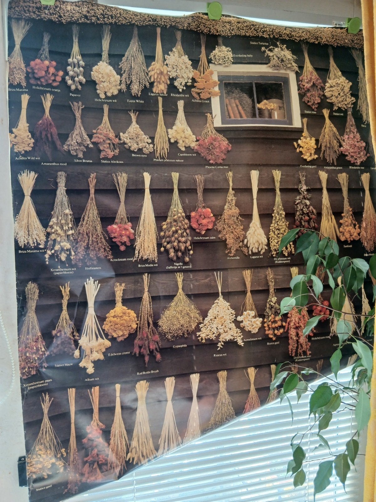 Grote poster met droogbloemen  1.00 / 85, Ophalen, Gebruikt