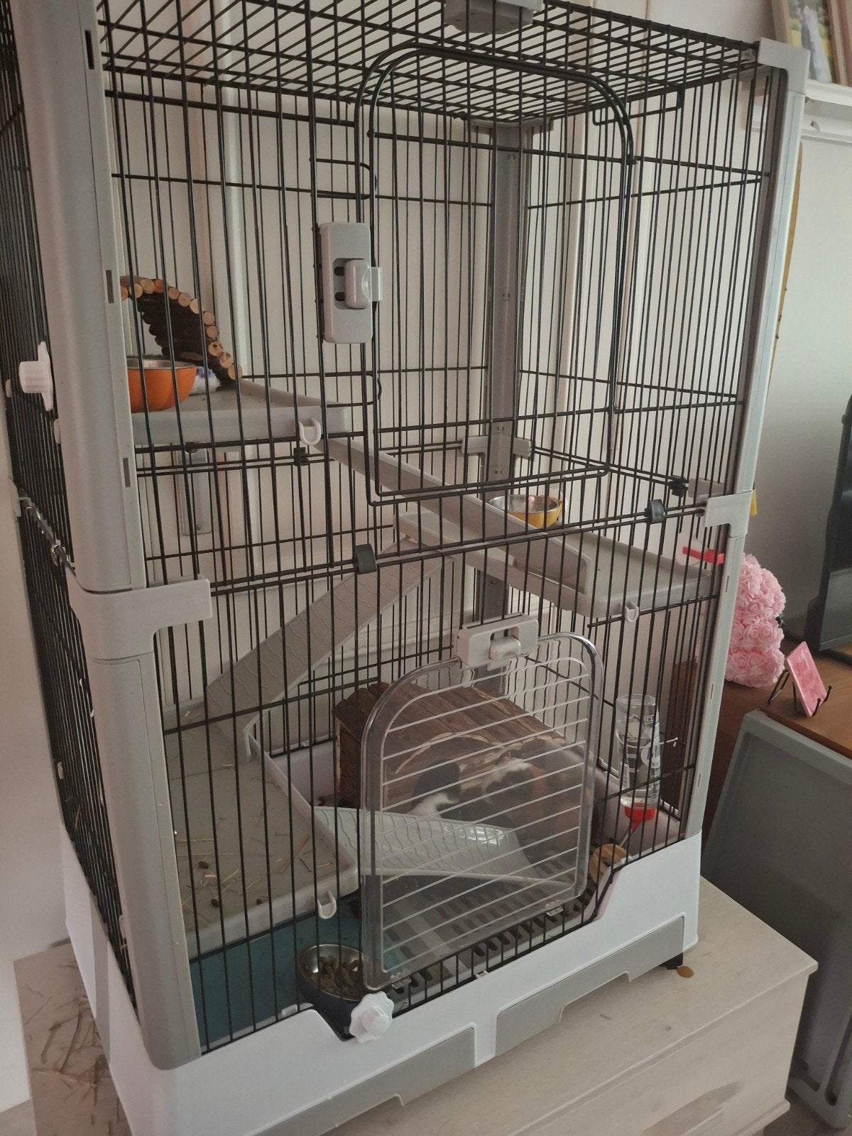 grote cavia kooi 10 weken gebruikt, Ophalen, Gebruikt, Overige typen