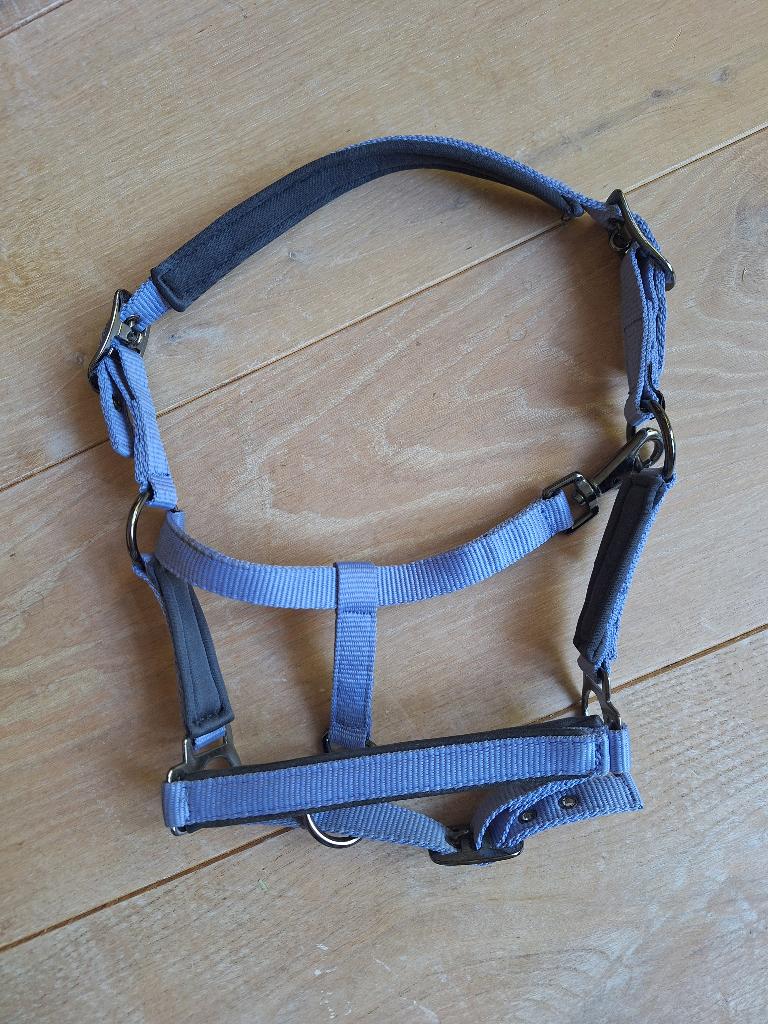 Halsters harry's horse shet/veulen, Ophalen of Verzenden, Nieuw, Overige soorten