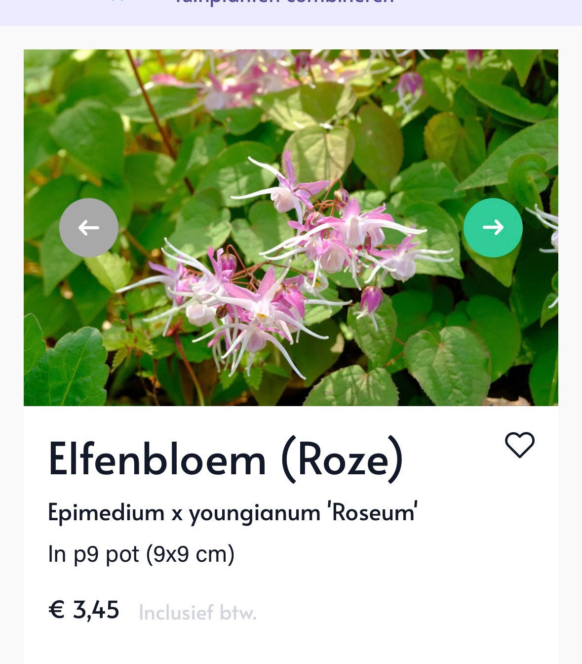 Gratis 25x bodembedekkers Epimedium Roze, Ophalen, Gehele jaar, Halfschaduw