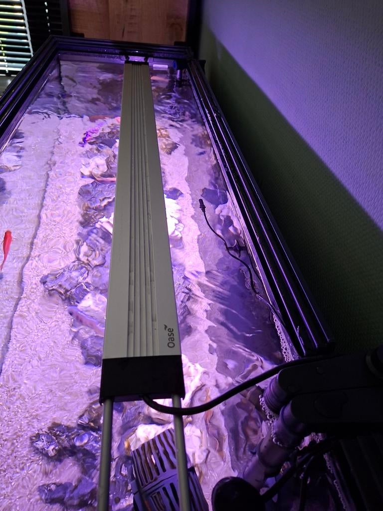 Oase verlichting  compleet, Ophalen, Zo goed als nieuw