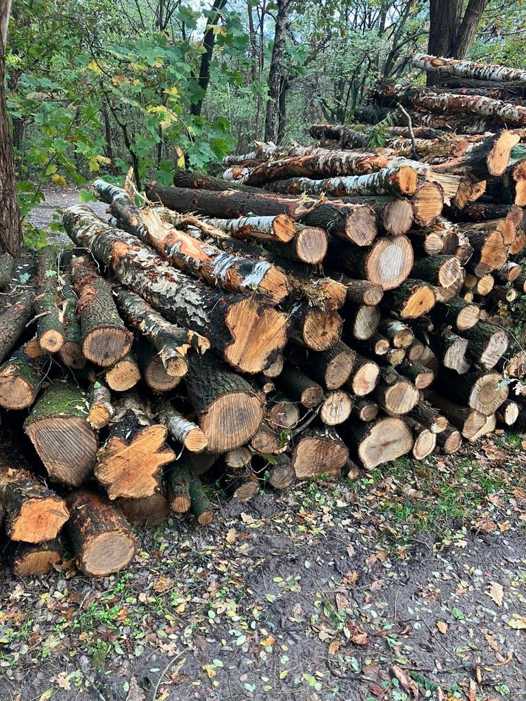 Foto 4 van Partij Openhaardhout/Brandhout/Kachelhout Boomstammen OP=OP