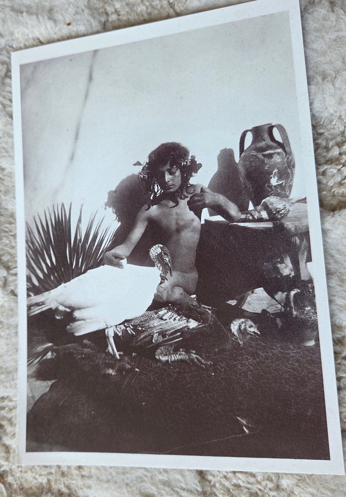 Wilhelm von Gloeden: Foto, c. 1900 - Postkaart, Verzamelen, Ophalen of Verzenden, 1980 tot heden, Ongelopen, Overige thema's
