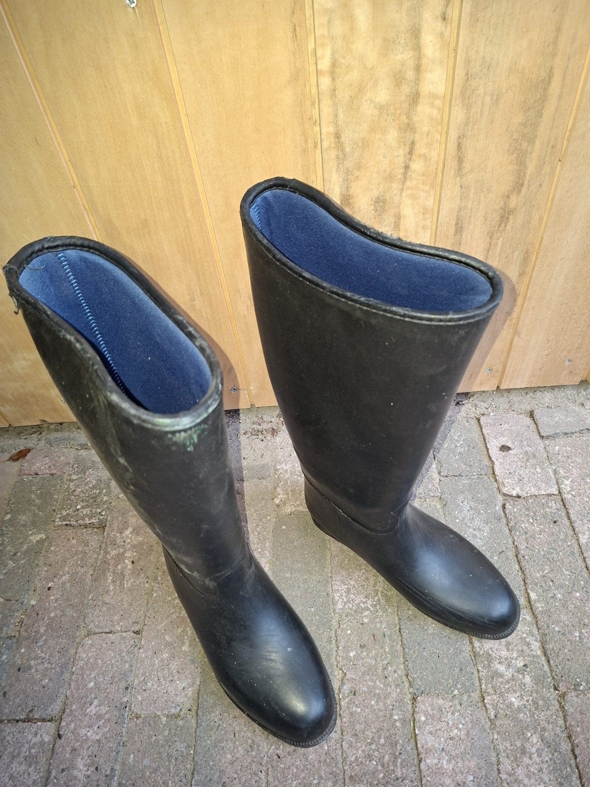 paardrij laarzen, Dieren en Toebehoren, Ophalen of Verzenden, Zo goed als nieuw, Dressuur