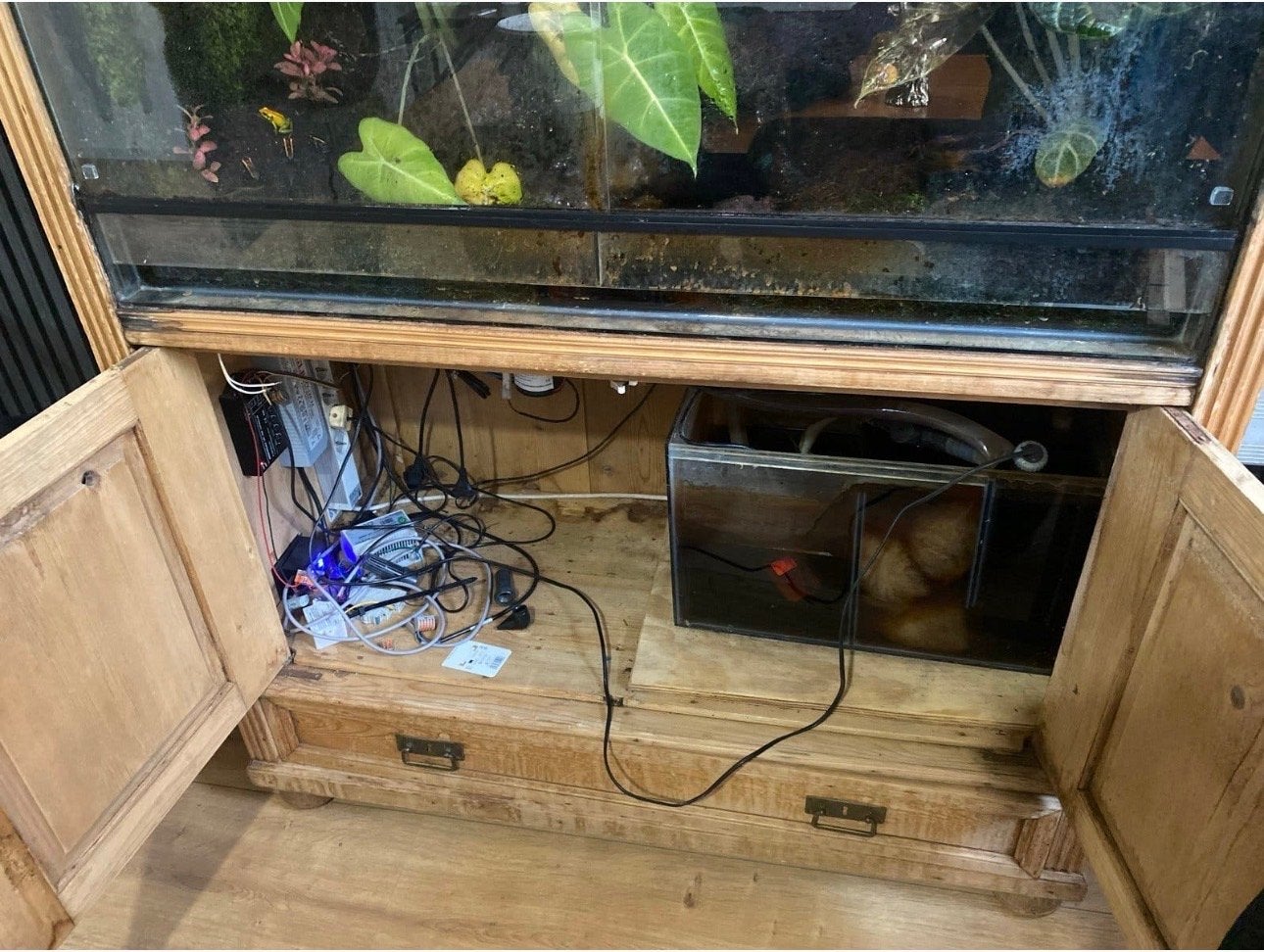 Compleet paludarium, Ophalen, Gebruikt, Terrarium of Paludarium