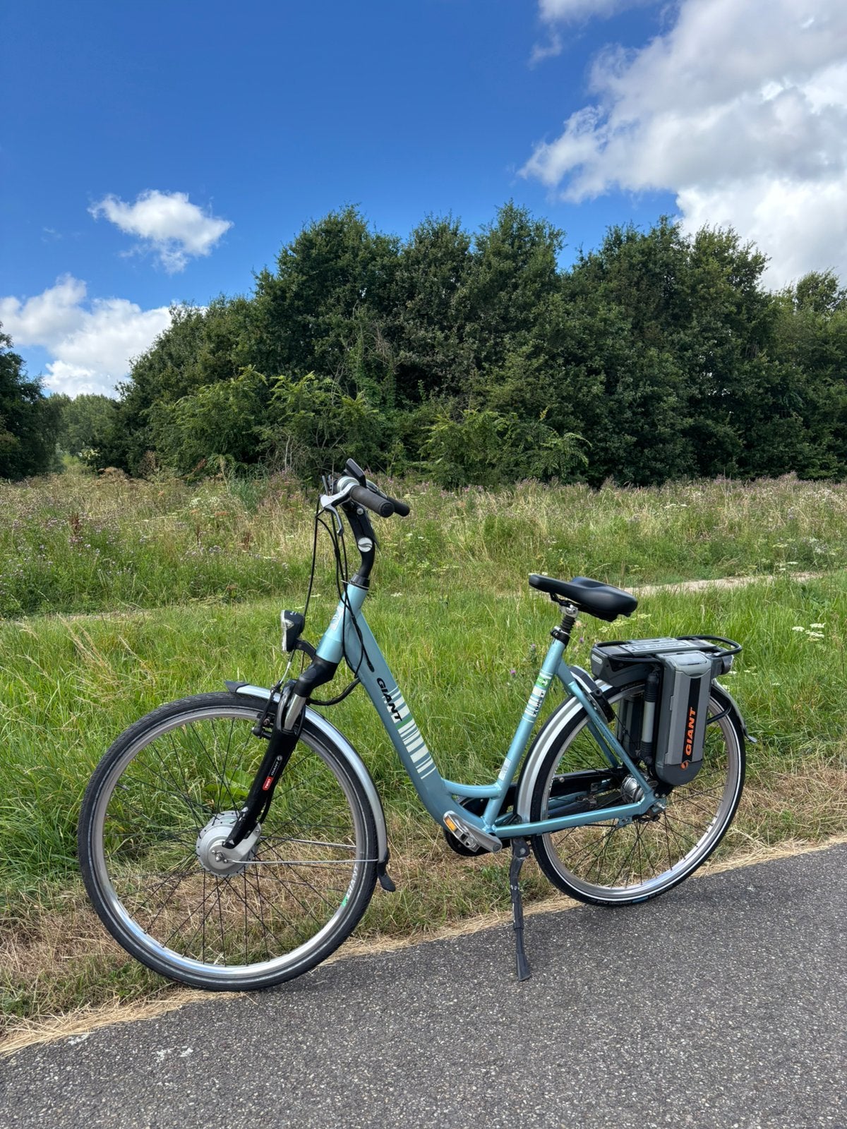 Giant Twist Go Double Hybrid elektrische fiets, 51 tot 55 cm, Ophalen of Verzenden, Zo goed als nieuw, Overige merken