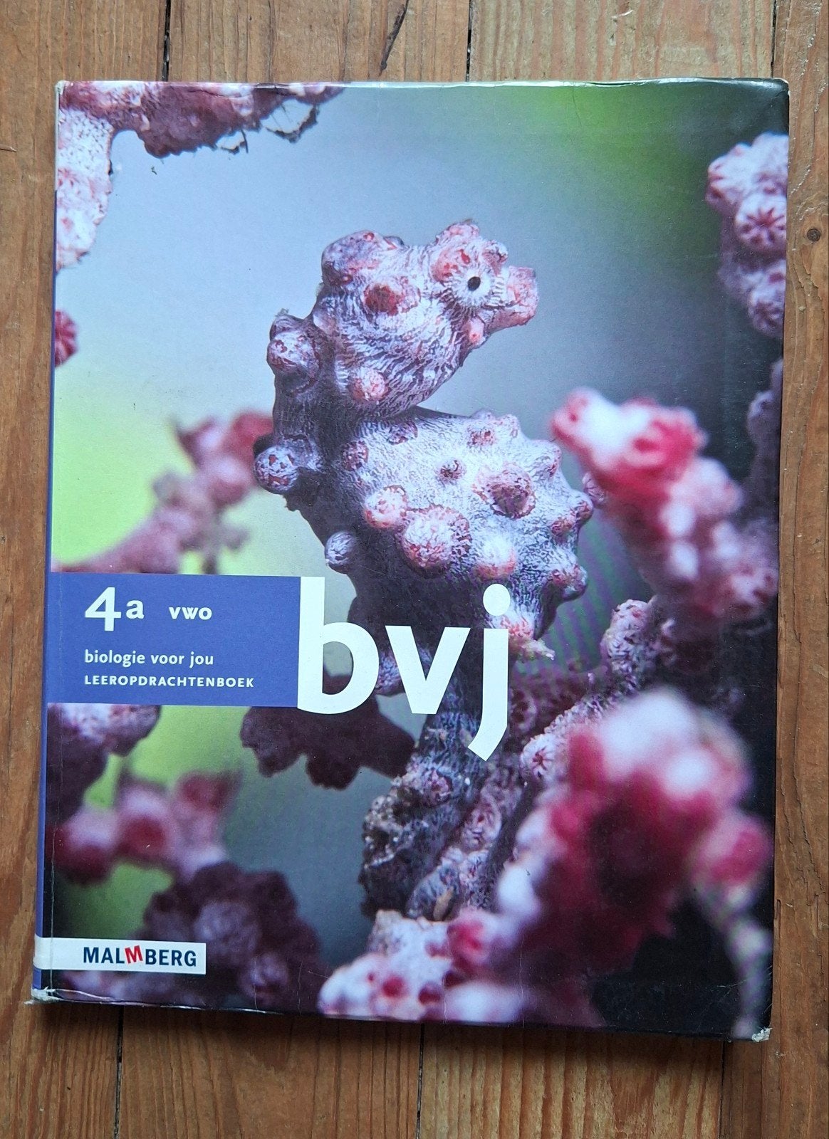 VWO 4 schoolboeken, Boeken, Ophalen of Verzenden, Zo goed als nieuw, VWO