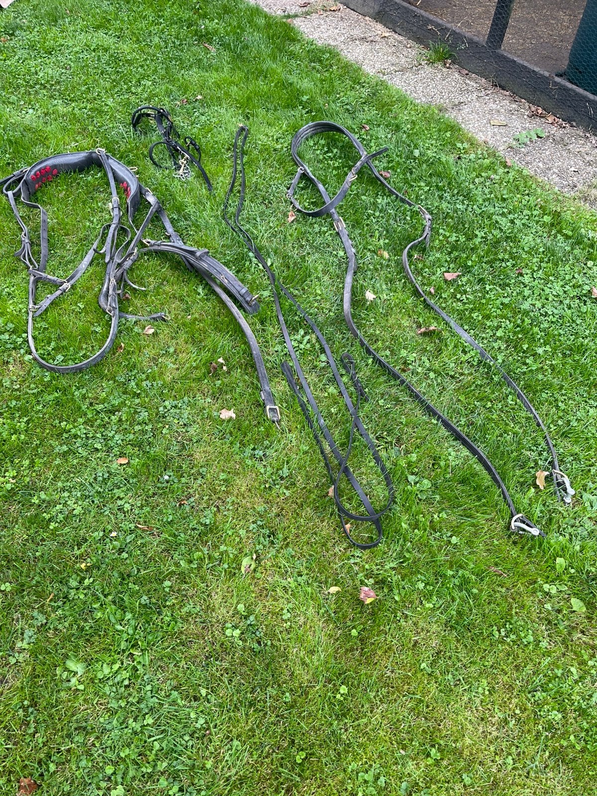 Ponytuig, leer, zwart, compleet, Ophalen of Verzenden, Gebruikt