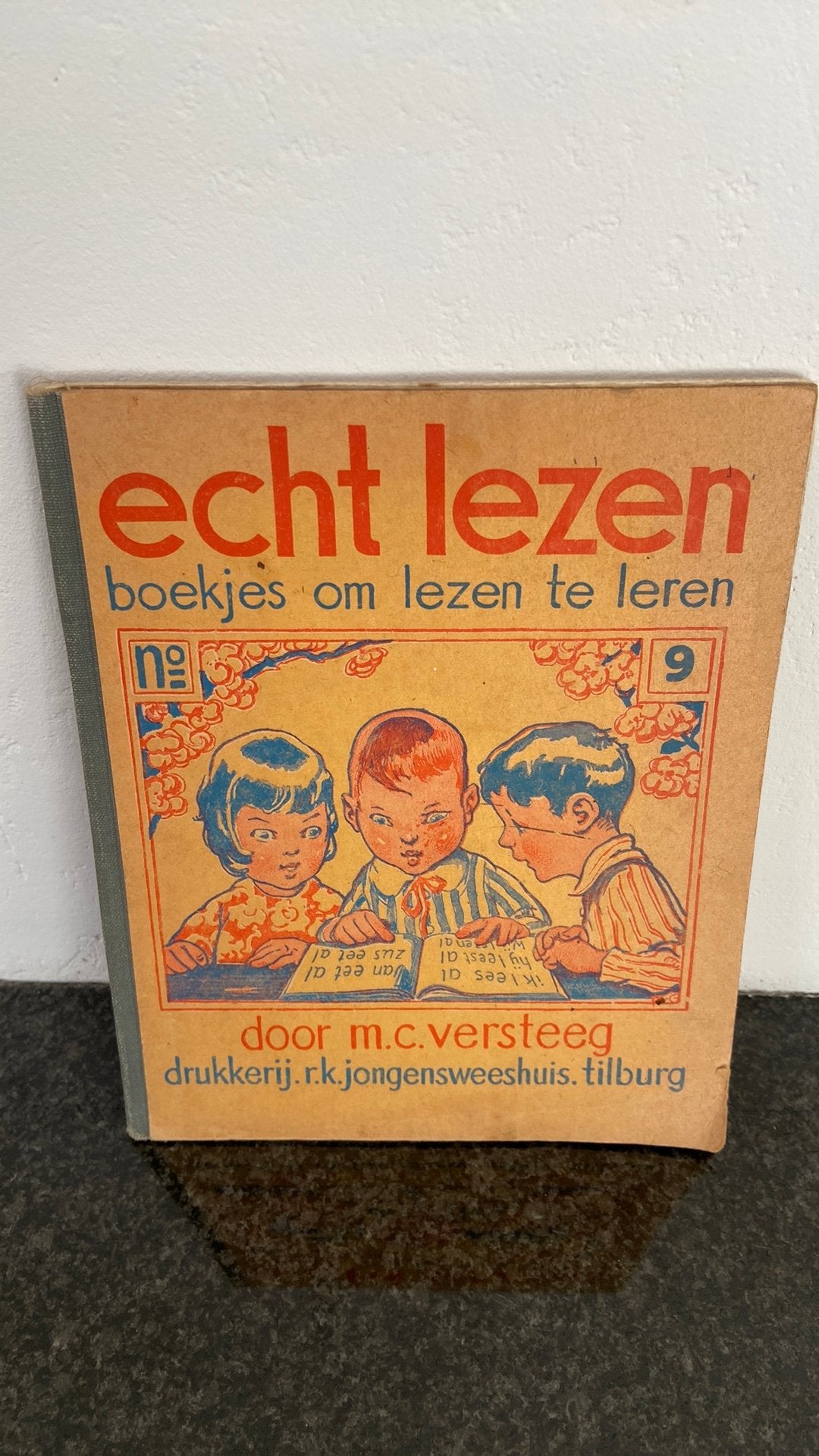 Echt lezen, Ophalen of Verzenden