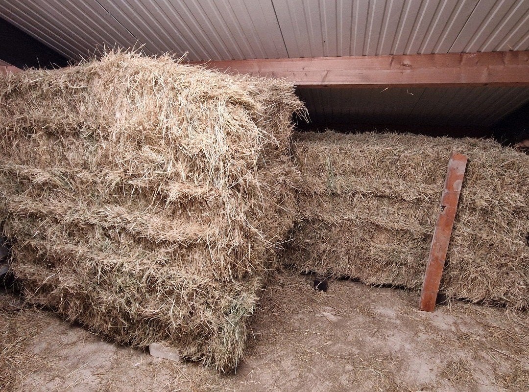 Hooi 100kg pakken te koop, Ophalen, Vee