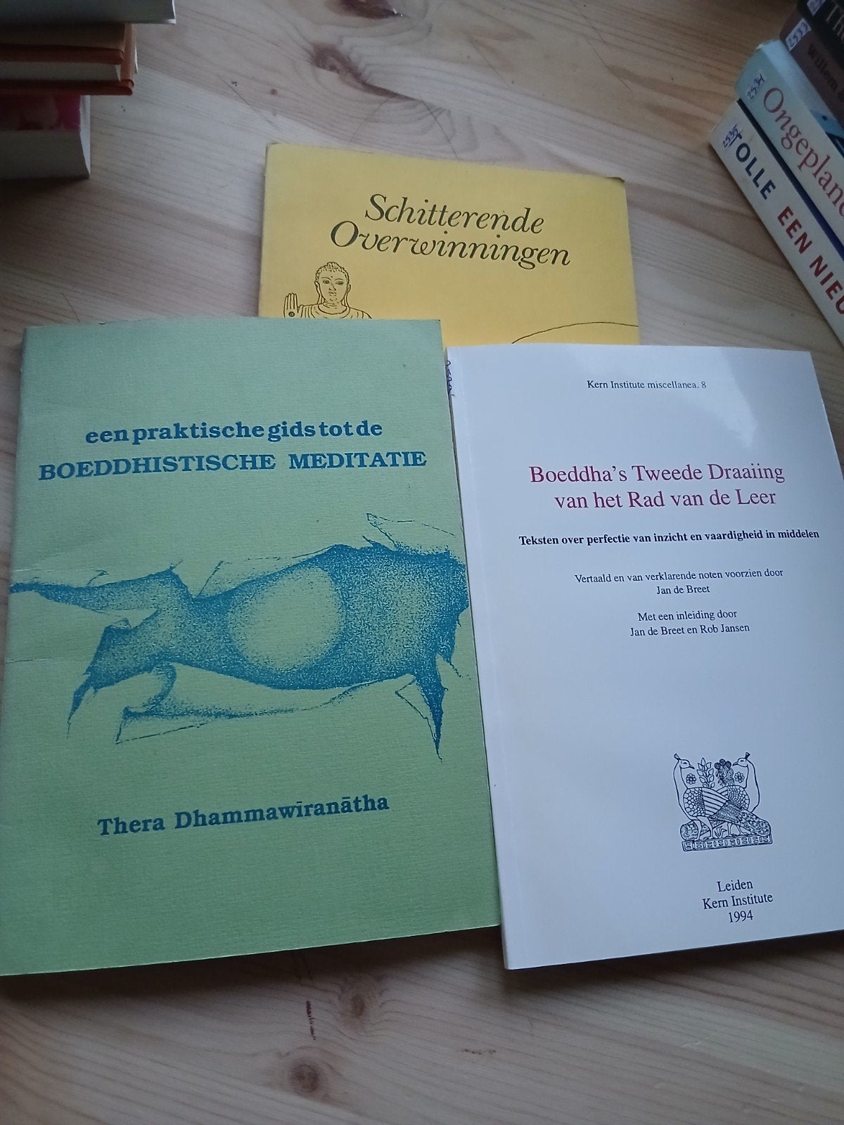 3 Boekjes over Boeddhisme Meditatie, Inzicht & Overwinningen, Ophalen of Verzenden, Gelezen, Spiritualiteit algemeen, Achtergrond en Informatie