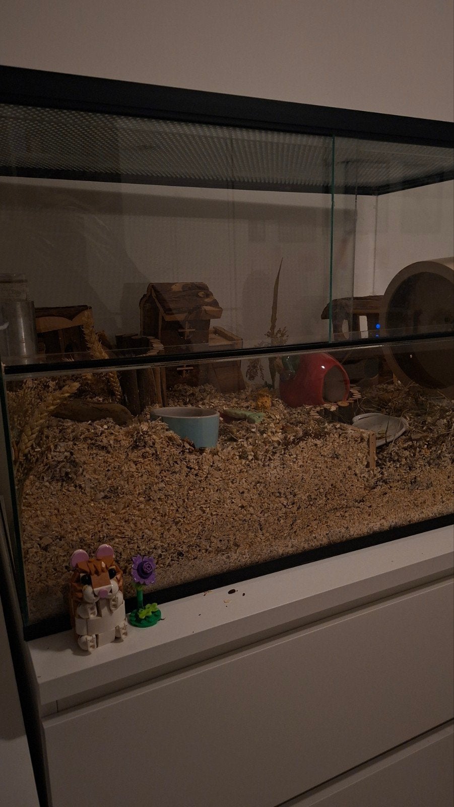 hamster kooi, Ophalen, Zo goed als nieuw, Transportkoffer of -box