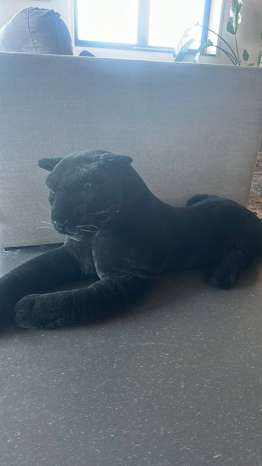 Grote panter knuffel, Ophalen, Zo goed als nieuw, Overige typen